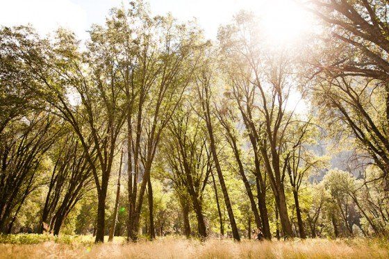 1f7ae548ec26f2b94f203faf31691565