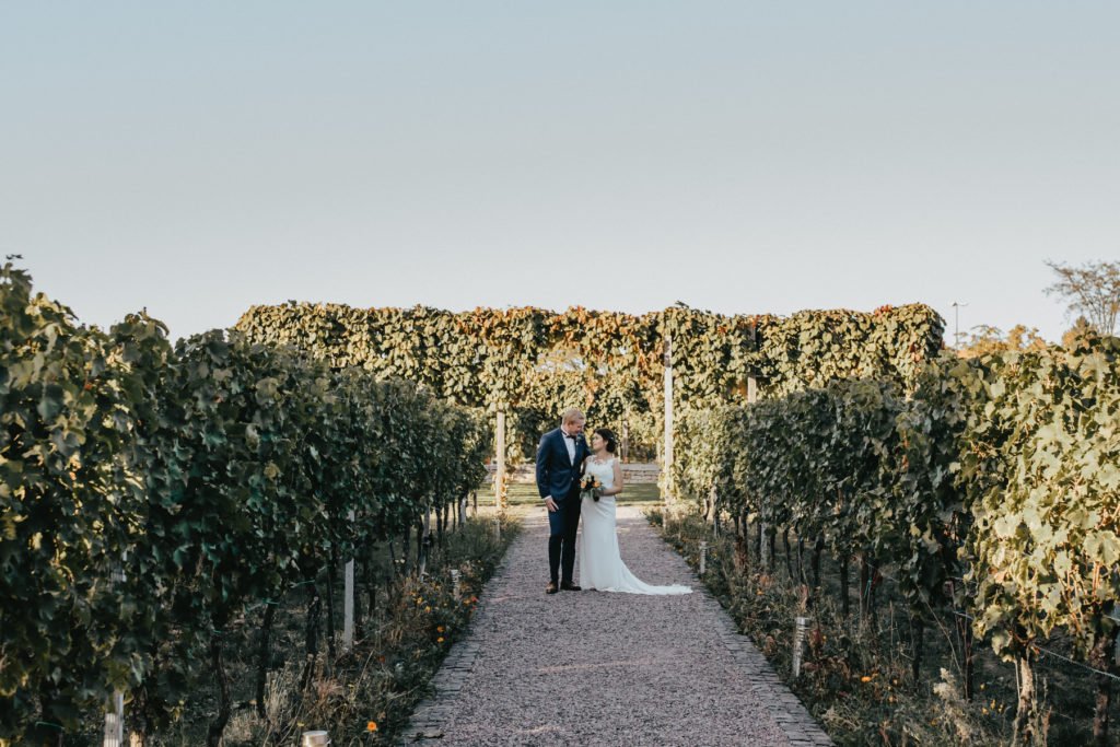 Schwanger heiraten: Kathi und Beni heiraten im Weingut