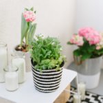 Balkon-Make Over: Balkon fit für den Frühling machen