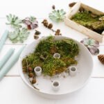 DIY Kerzenschale mit Sukkulenten als minimalistischen Adventskranz. Kerzenschale mit natürlichen Materialien füllen und Stabkerzen anzünden.