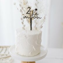 Cake Topper 2 the moon