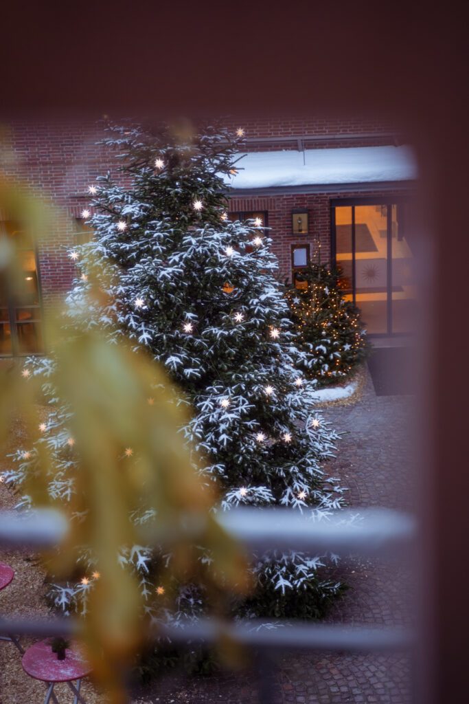Hochzeitslocation im Winter mit Tannenbaum
