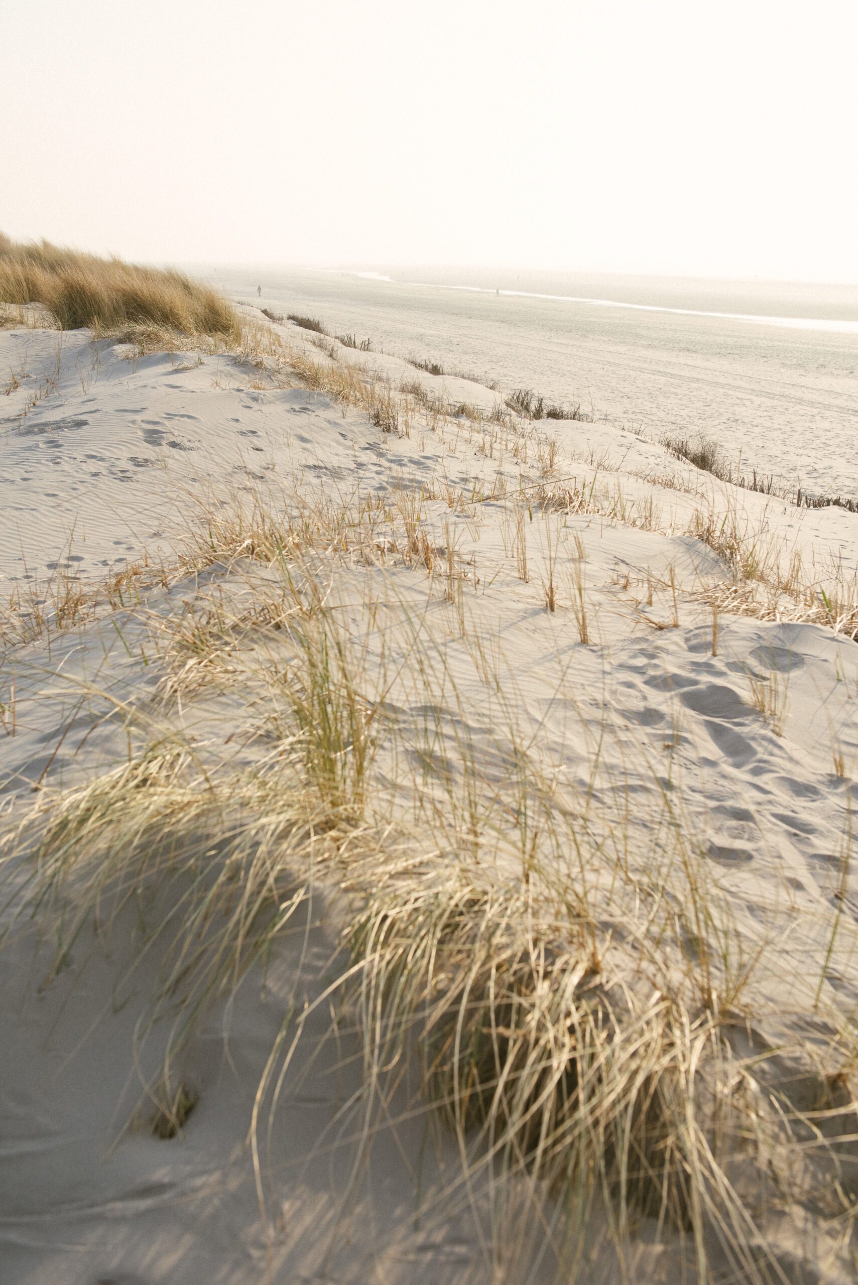 Unendlicher Sandstrand auf der Insel Langeoog