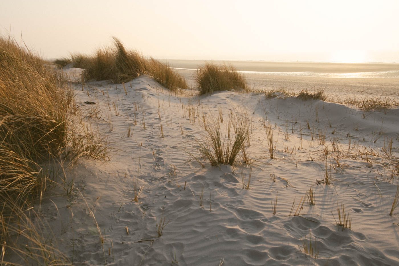 Langeoog Ferienwohnung Hotel Empfehlung-35