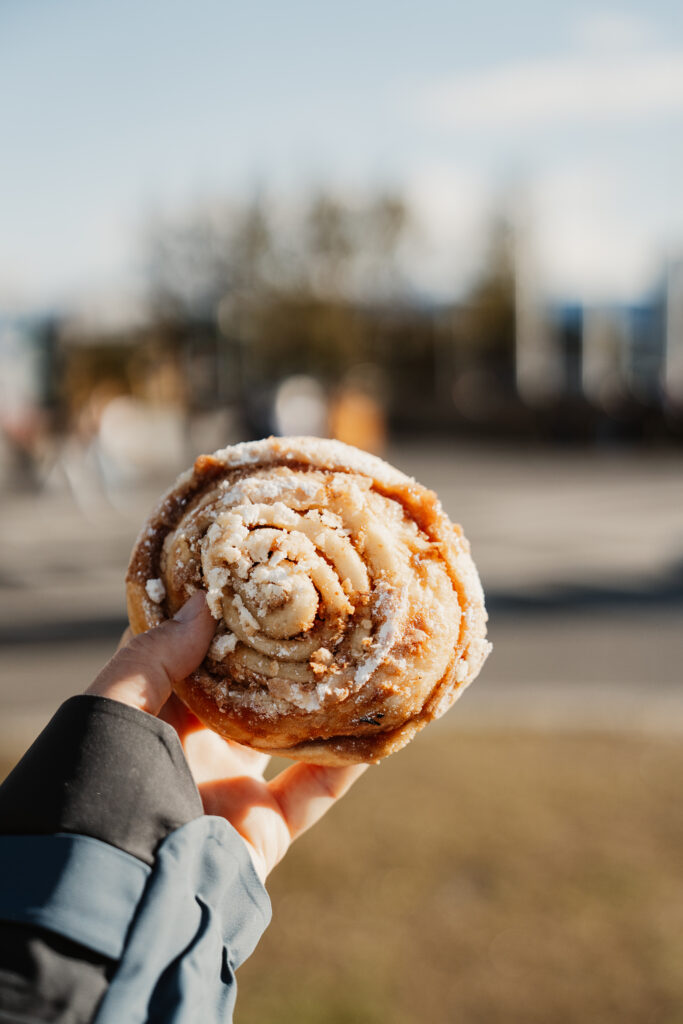 Stadtspaziergang Reykjavik