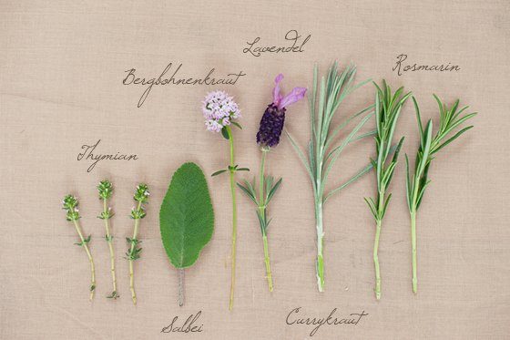 Anstecknadel_Kraeuter5