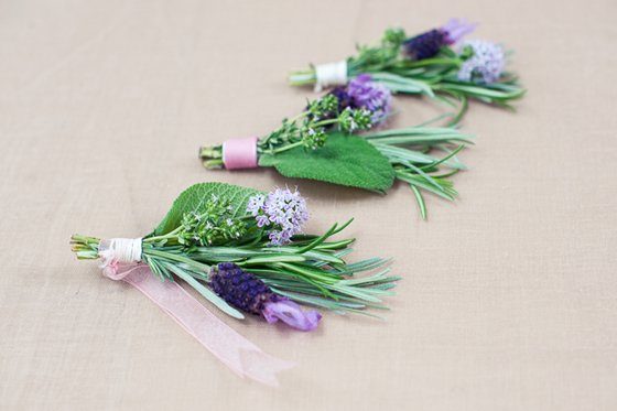 Anstecknadel_Kraeuter6