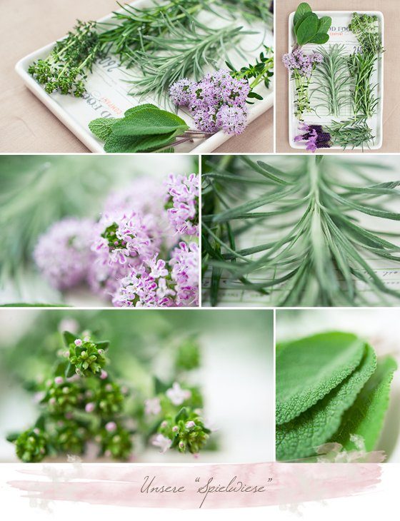 Anstecknadel_Zutaten Kopie