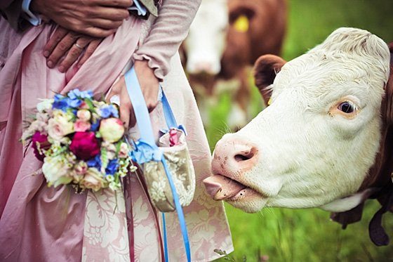 Barbara Gandenheimer13