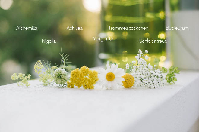 Welche Blumen blühen im Juni