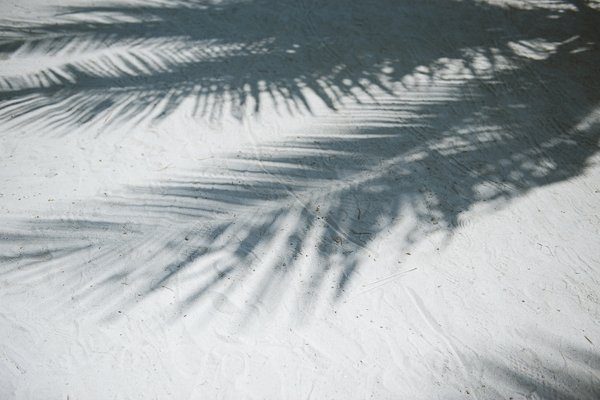 Mexico Flitterwochen5