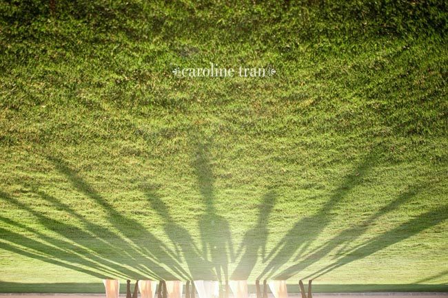 caroline tran hochzeitsfoto schatten