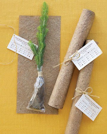 ms anhänger mit pflanzanleitung