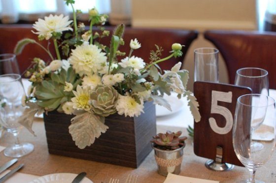 Sukkulenten_Dahlien1