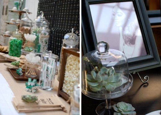 Sukkulenten_Dahlien2